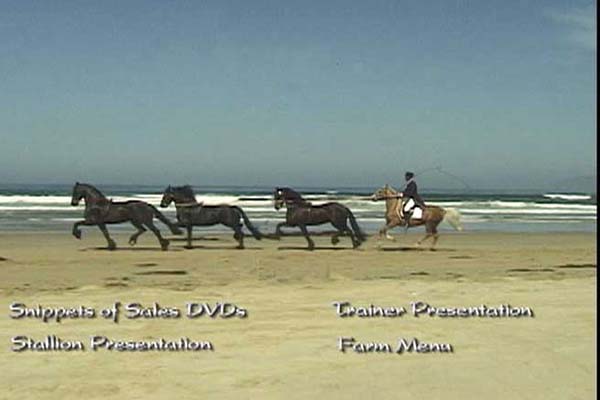 Trainer Bruce working with the horses — the early days of Thumbs Up Production